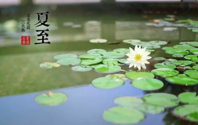 【二十四节气养生篇】夏至：夏季清补，冬病夏“治”