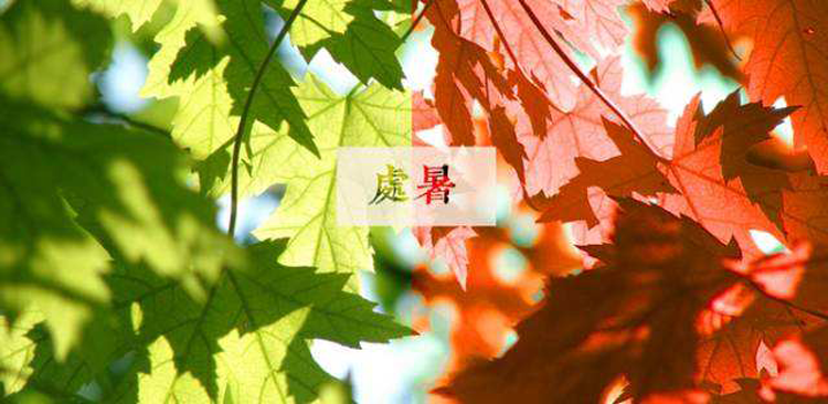 【二十四节气养生篇】处暑：少辛增酸防秋燥